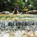 동막골흑염소 이미지