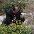 삼촌네구멍가게
