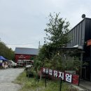 맥시멀상사