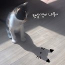 릴렉스인더블랙브릭 | &#34;relax in the black brick &#34; #익산카페 # 릴렉스인더블랙브릭# 전북카페#인스타갬성