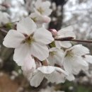 현대비전 | 비전 수행법 (초감각적 인식에 이르는 길)