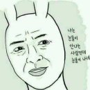 아미캣 이미지