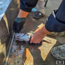 비봉 바다낚시공원 화장실 | 서울근교 아이와가볼만한곳 선재낚시공원 가족 체험 후기 총정리