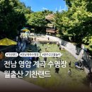 기찬랜드 | 영암 월출산 기찬랜드 완벽후기｜입장료, 평상 이용, 물놀이까지 총정리!