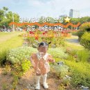 [공지] 2025 여름 아기와 가기 좋은 피크닉 장소 추천 인천 송도 해돋이 공원