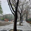 수원-1800 이미지