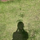 소소공감 | 전남 영암 소소공감 펜션 후기, / 광주근처 감성숙소 광주에서 1시간거리 키즈펜션