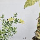 식물그림책작은도서관 이미지