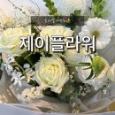 두정꽃플라워 | 두정동 꽃집 제이플라워! 청모 꽃다발 선물 추천