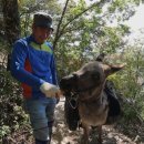 산상목장 이미지