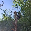 금정농장 이미지