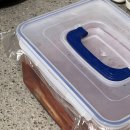 싱싱와글와글 이미지