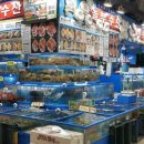 놀부회센타 이미지