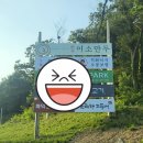 맑은이소만두 이미지