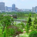 한밭수목원 이미지