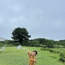 이사검 선생 묘 | 아이랑 제주 21박22일ㅣ20일차:)ㅣ협재rnr l 덕천 곤충 영농조합 ㅣ묘한식당ㅣ신화 회포차 포장