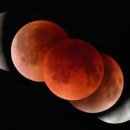 시와 캘리 이미지