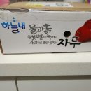 미현 | [추천] 퍼플퀸자두 내돈내산 후기 미현맛농원 자두 추천