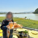 [여행](경주) 불국사 근처 경주 베이커리 카페 추천 바실라 유채꽃