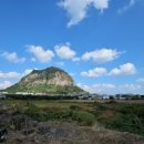 사우스사계