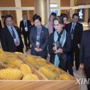 Suu Garden 이미지