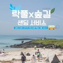 김포천지연사우나 | 제주 워케이션 | 27만원 돈 받고 제주여행 다녀온 후기 (+선정꿀팁, 간세, 제주약수터)