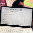 현아농장 | 617384번째 heartbreak