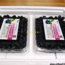 솔향기영농조합법인 이미지