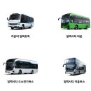 현대 블루핸즈 예약 취소·변경 완벽 가이드