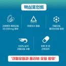 초록빛약국 이미지