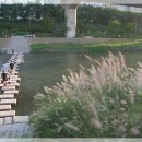 우리집 오리 이미지