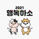 백프로 복싱체육관 이미지