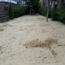 창원 해돋이 유치원 이미지