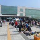 YMCA 녹색장터 이미지