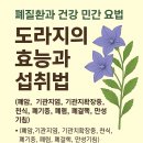 🌿 폐 건강을 위한 도라지의 효능과 활용법 이미지