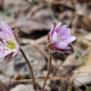 여난농장 이미지