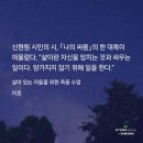 김명자미용실 | 12월엔 서울로 출근, 그리고 첫눈