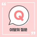 Y.E.S세진 이미지
