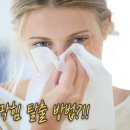 한신약국 | 10살 비염 코막힘 리알트리스 나잘 스프레이 효과, 가격 사용후기
