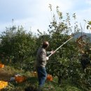 자양농장 이미지