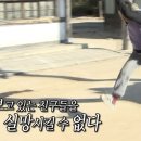 🤸🏻‍♀️러닝 인증 달글🤸🏻‍♀️ 이미지