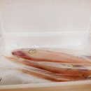 군산박대삼촌 이미지