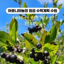 산해리농장 이미지