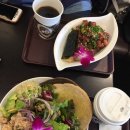 캣 레이크 이미지