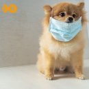 라온반려동물병원 이미지