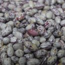 지연2농장 이미지