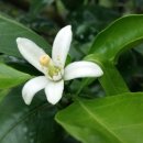 여난농장 이미지