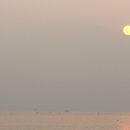 배*해