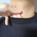 브랜드짐 | 짐웨어 브랜드 이지투미 남자 맨투맨 운동복 후기