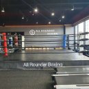 올라운더 복싱 이미지